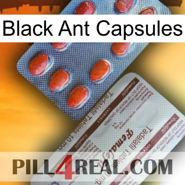 Black Ant Capsules 36.jpg